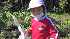 20201026113013(1)