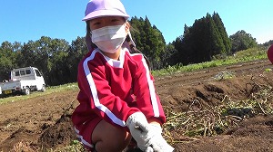 20201026113712(4)