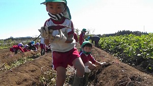 20201026113755(1)