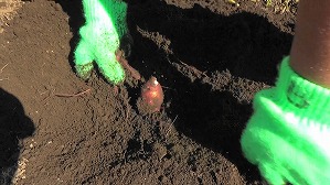 20201026113818(1)