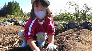 20201026114248(2)