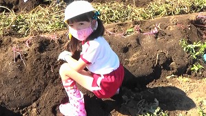 20201026114350(1)