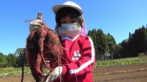 20201026114455(1)