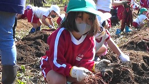 20201026114741(7)