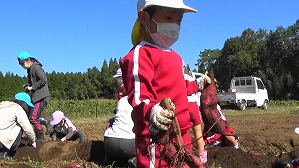 20201026114754(1)