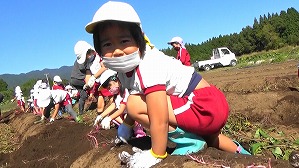 20201026114955(1)