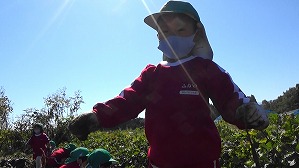 20201026115015(1)