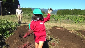 20201026115605(1)