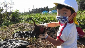 20201026115654(3)