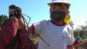 20201026120326(5)