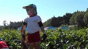 20201026120758(1)