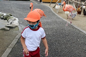 IMG_2853