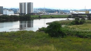 20201106112606(2)