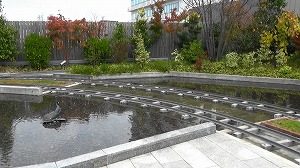 20201106115606(1)