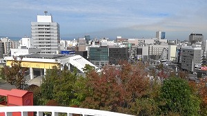 20201106133650(2)