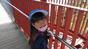 20201106133815(1)