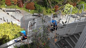 20201106134324(1)