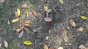 20201109113758(1)