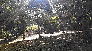 20201109114010(2)