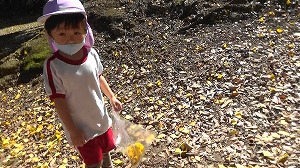 20201109114230(4)