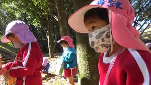 20201109114306(1)