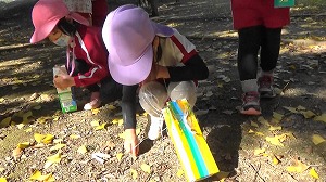 20201109114311(1)