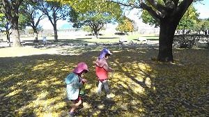 20201109114328(2)