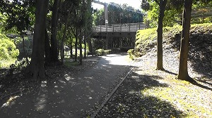 20201109114433(1)
