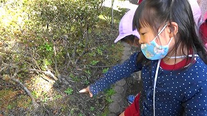 20201109114549(1)