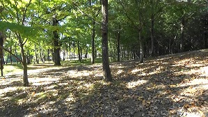 20201109114654(1)