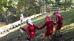 20201109115816(2)