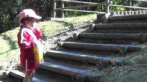 20201109115831(3)