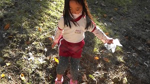 20201109120358(1)