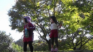 20201109120427(1)