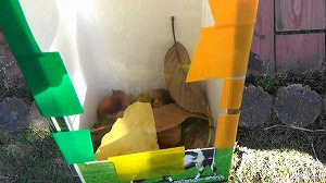 20201109120703(1)