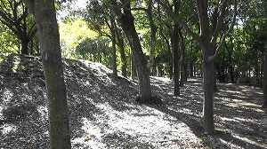 20201109120827(1)
