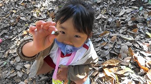 20201109120843(1)