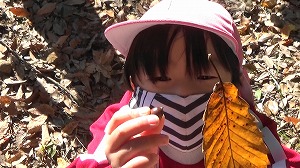 20201109121123(2)