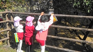 20201109121357(2)