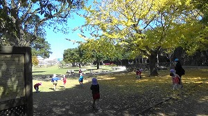 20201109121627(1)