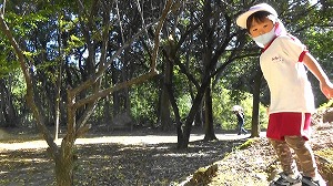 20201109121743(6)