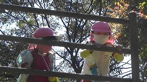 20201109121749(2)