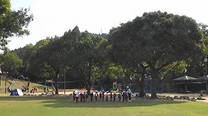 20201110112219(1)