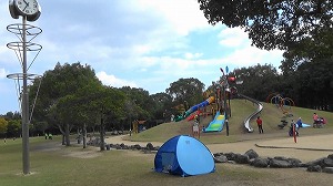 20201110113453(1)