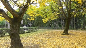 20201110113734(1)