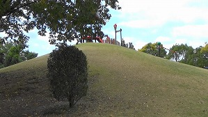 20201110114027(1)