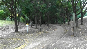 20201110114238(1)