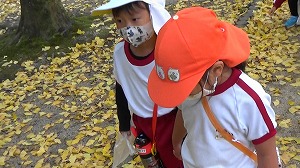 20201110114346(1)
