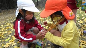 20201110114430(2)