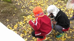 20201110114524(1)